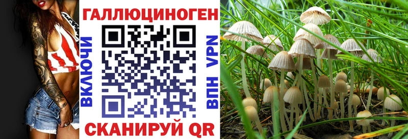 Псилоцибиновые грибы мицелий  Звенигово 